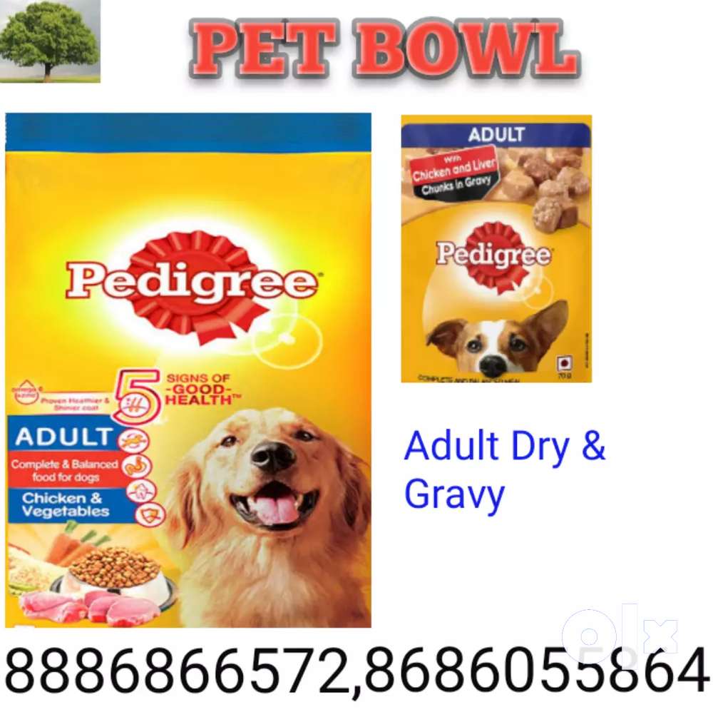 Dogs and cats food