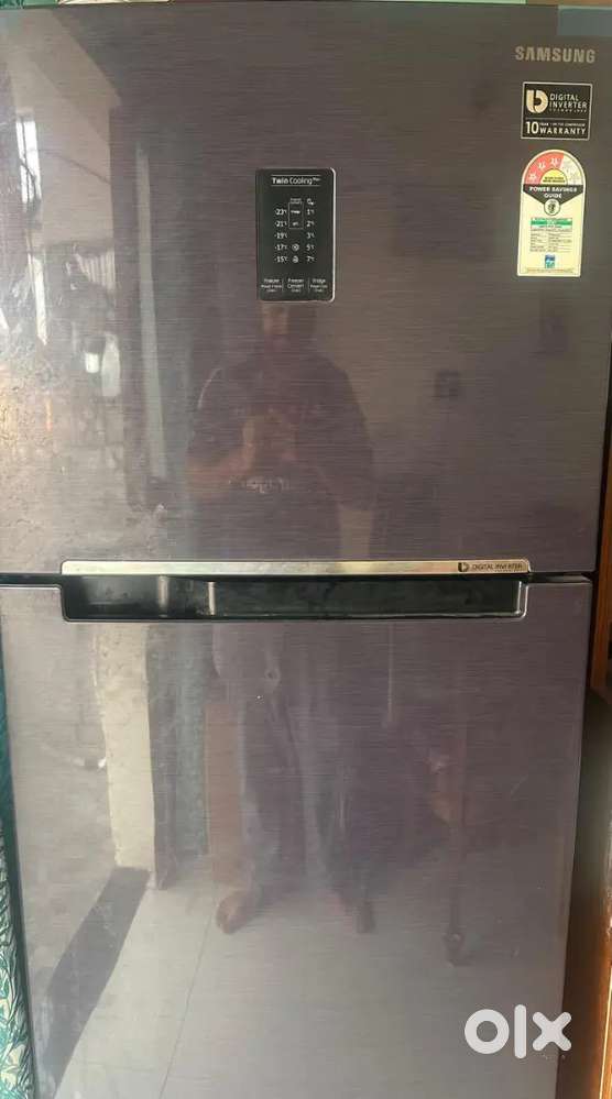 Samsung Twin Cooling Plus Double Door 400L Fridge
