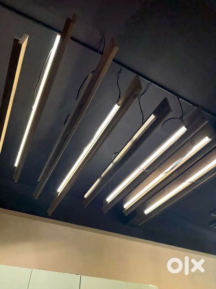 Ceiling mount lights
