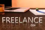 Freelancer