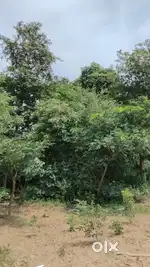 Bank  collection    location ludhiana and chandigarh