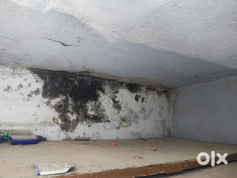 Rent for Gudon  good condition with attached bathroom