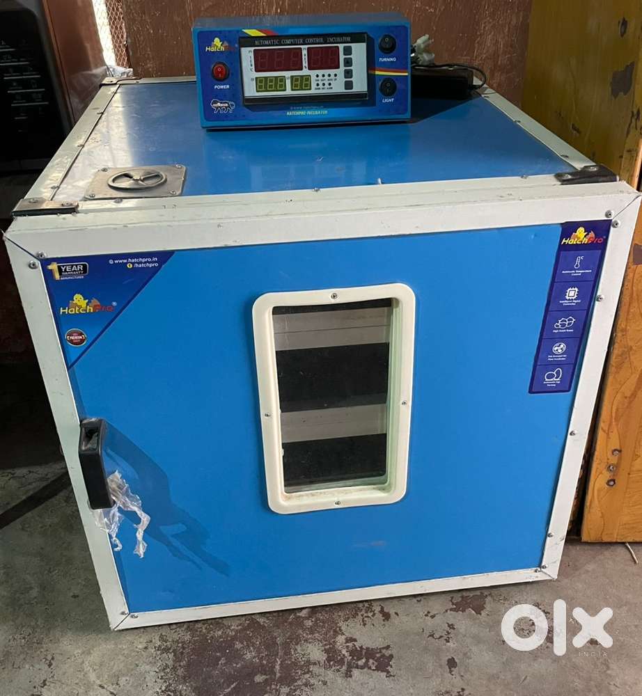 Egg incubator