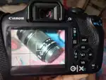 Cannon 1500D with 50mm & 250mm lens