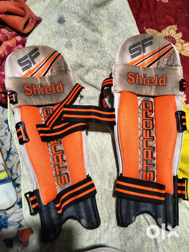 Cricket kit