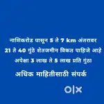 नाशिकरोड पासून 5 ते 7 km अंतरावर 21 ते 40 गुंठे शेतजमीन विकत पाहिजे