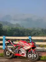 Fully loaded rr 310 for sale
