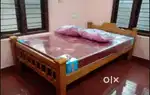New model double coat kattil and mattress with two pillows