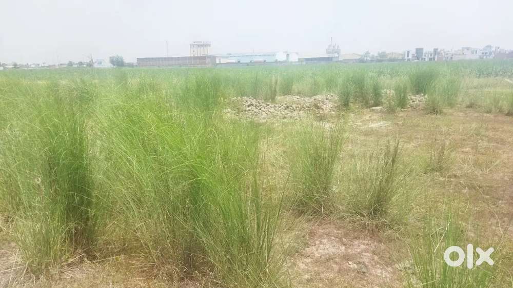 Sirouli kichha highway se 200 meter andar