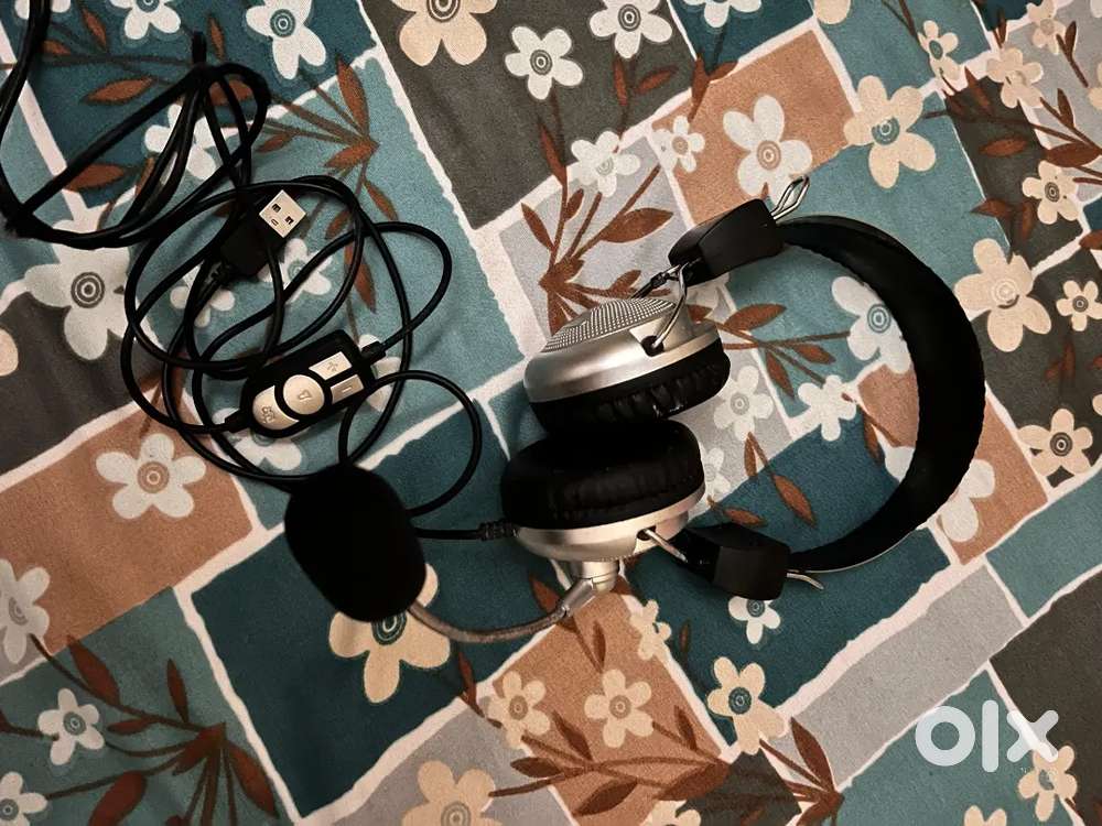 Zebion headphone