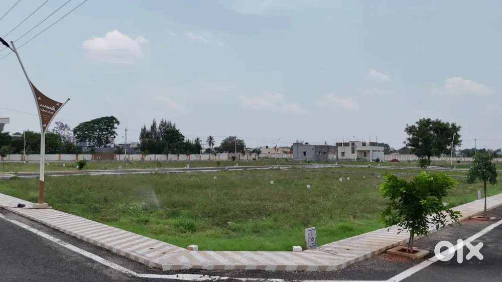 Plots For Sale - DTCP Approved Plots - Per Cent ₹ 17.5