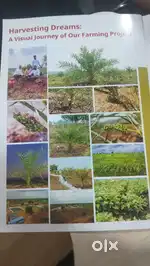 Sampangi Bio farm Pvt Ltd