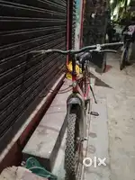 All okay cycle Hai Bus break damage hai