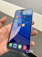 iPhone 13 Pro Max (White)