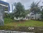 Ernakulam kaloor 14cent land for sale