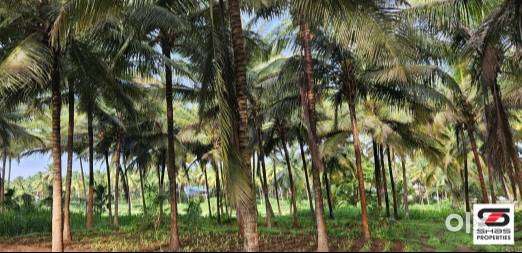 Farmland with house for sale in Walayar, Palakkad