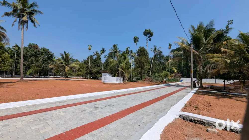 Ashtamichira–Mala 6 to10 cent Premium plots & villas- 90%Loan-Free Reg