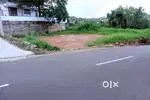 Land 9 cent old MC road side Caritas 6.5 lakh/cent