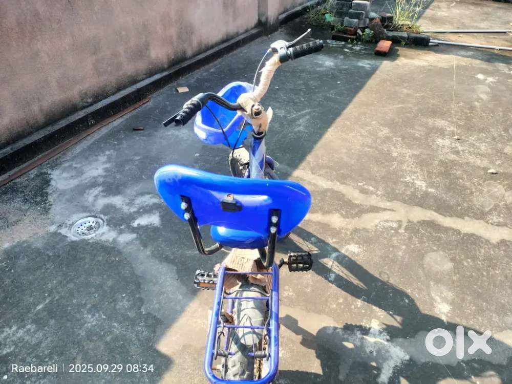 Avon cycle 16t