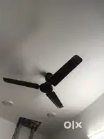 Ceiling fan
