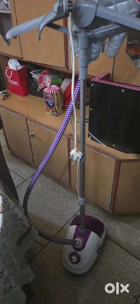 Standing steam press
