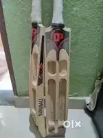 Bahubali bat