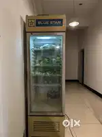 Commercial Fridge