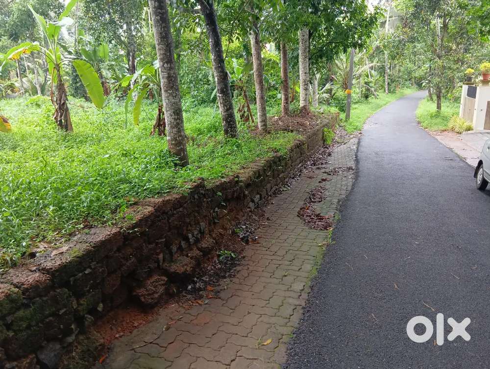 Ernakulam thiruvanyoor 15cent plot for sale