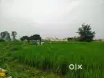 URGENT land for sale