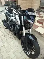 250 cc dominar haryana number