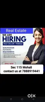 Sales executive in Real estate for boy or girl