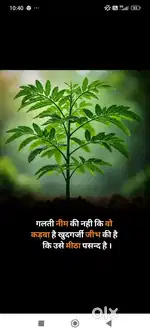 Tea stall mai kam karna hai