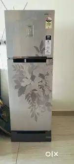 Samsung Convertible fridge