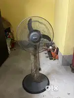 Stand fan company baltra