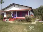 Land more than a bigha with a big house available for sale at kaliabor