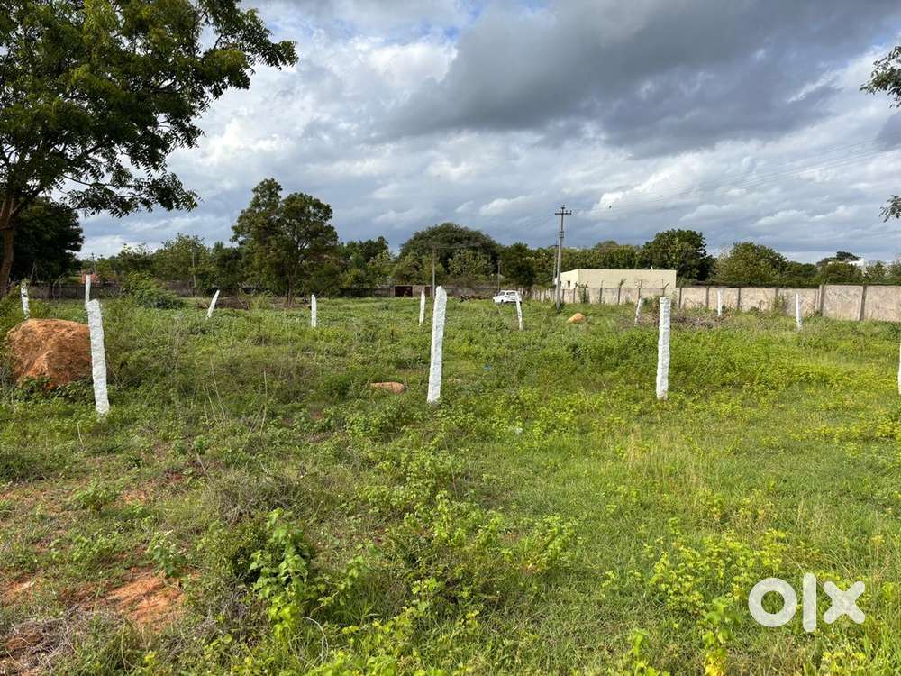 440 Square Yards plot For sale In Chilkur