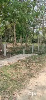 36 katha land available near Kalyani AIIMS