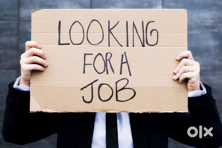 I am looking for job