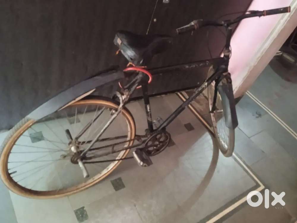 Cycle for daily ueses