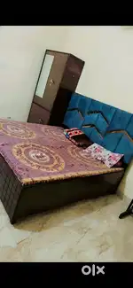 PG for girl near VIP road, metro mall, Sushma inf zirakpur