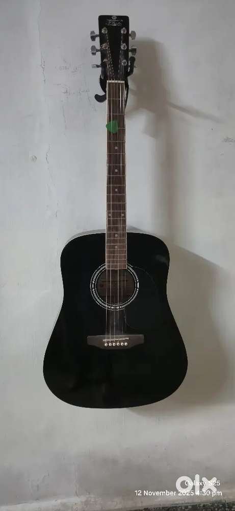 Acoustic Guitar
