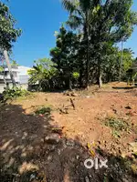 20 cent plot for sale Amlps school junction