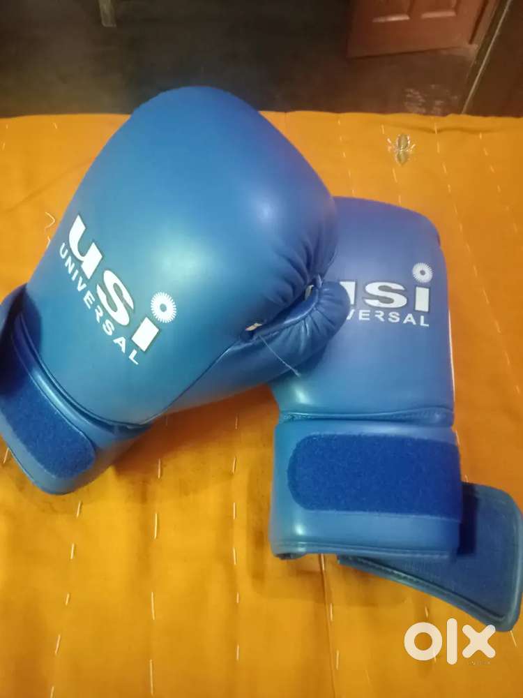 USI Boxing gloves