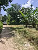 20 Cent Plot near Sulthan Bathery