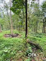 25snt plots for sale