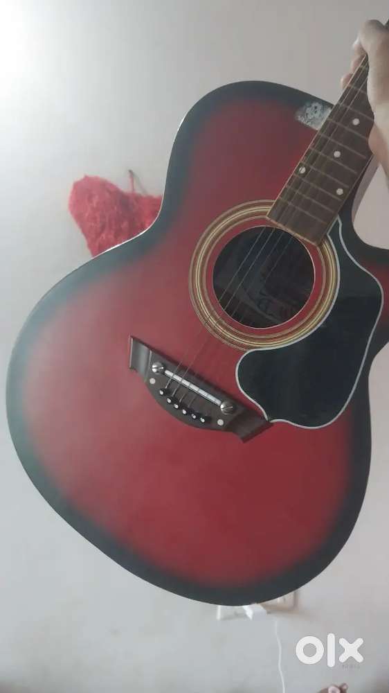 Guithar with cover