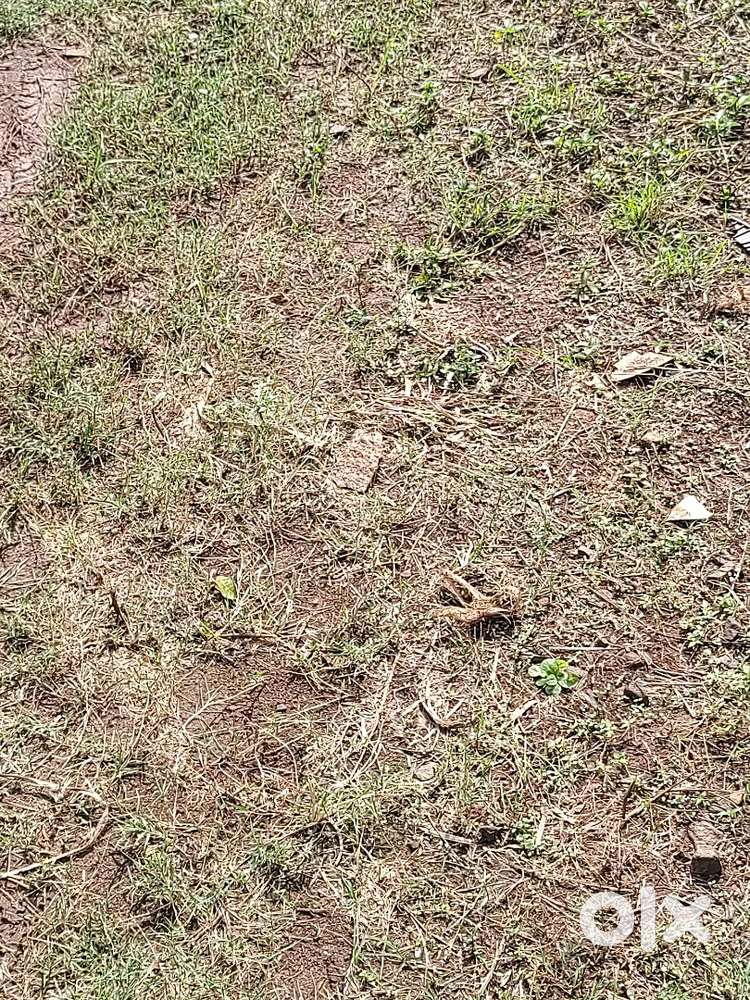 Plot for sale in hunchanhatti