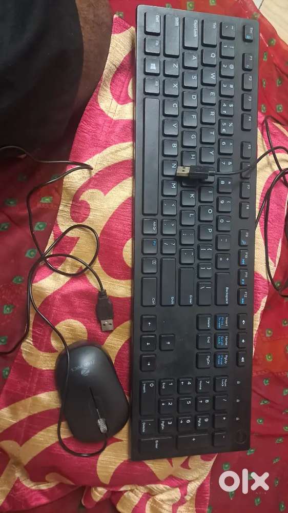 Dell Keyboard and zebronics mouse