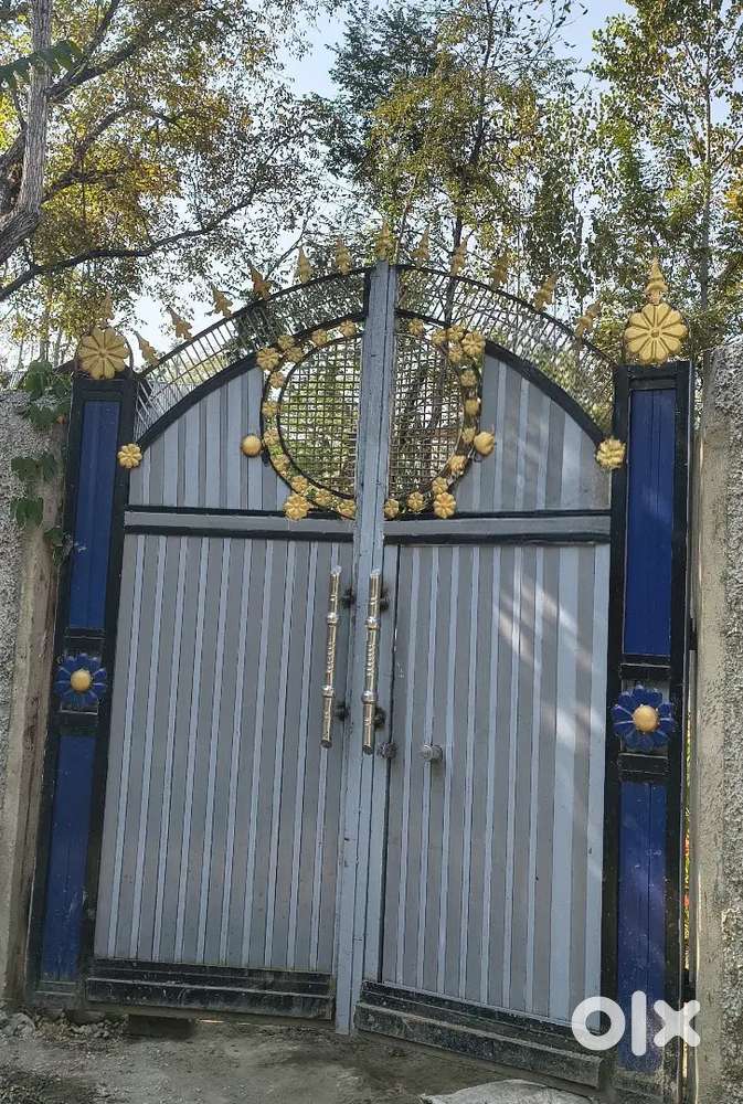 Elegant Iron Entrance Gate – Stylish & Durable, Perfect for Homes!