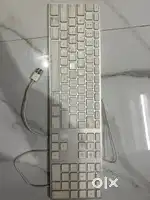Apple key bord